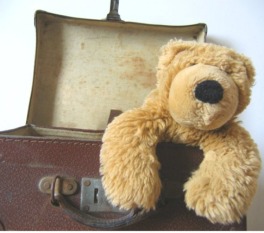 teddy bear inside a suitcase